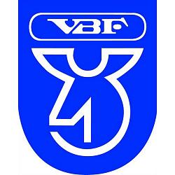 ПОДШИПНИК 256907 СТУПИЦЫ 2108-9,2113-15 ПЕР VBF (ВОЛОГДА) 256907