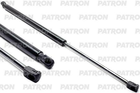 PGS658938 Амортизатор крышки багажника