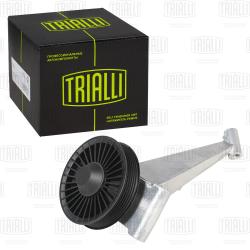 Ролик привод. ремня для а/м Mercedes Sprinter (00-) 2.1d/2.7d (опор.) с кроншт. AC- (CM 5599)