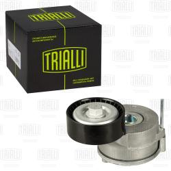 Ролик привод. ремня для а/м Peugeot Traveller (16-) 2.0d (с натяж. мех.) (CM 5464)