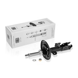 TRIALLI AG 19355 Амортизатор для автомобилей Toyota Camry (01-) (стойка) передний правый от 08.2003 г.в.