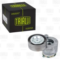 Ролик привод. ремня для а/м Renault Duster (10-) 2.0i AC- (с натяж. мех.) 65x26 (CM 5272)