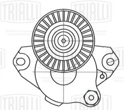 Ролик привод. ремня для а/м Mercedes M (W164) (05-) 3.0i/3.5i [M272] (с натяж. мех.) (CM 5709)