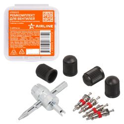 Ремкомплект для вентилей (4 золотника, 4 пласт.колп, 1 метчик) в кейсе (ATRS003)