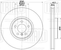 Диск торм. для а/м BMW X5 (E70) (06-) перед. d=365 (окраш.) (DF 190520)
