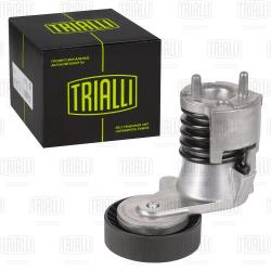 Ролик привод. ремня для а/м Ford Kuga (08-)/Volvo S40 (04-) 2.4i/2.5i (с натяж. мех.) генер. (CM 5722)