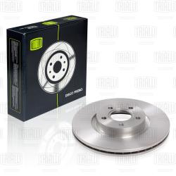 Диск торм. для а/м Ford Focus II (05-)/III (11-) перед. d=300 (окраш.) (DF 106102)