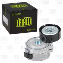 Ролик привод. ремня для а/м Ford Mondeo IV (07-)/Kuga (13-) 2.0d/2.2d (с натяж. мех.) (CM 5399)