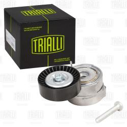 Ролик привод. ремня для а/м Audi A6 (04-) 2.4MPi/2.8FSi/3.0TFSi/3.2FSi [EA837] (с натяж. мех.) (CM 5379)