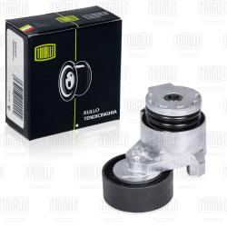 Ролик привод. ремня для а/м Renault Duster (10-) 1.5dCi (с натяж. мех.) (CM 1406)