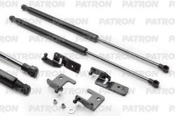 PGS100100 Амортизатор капота