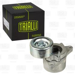 Ролик привод. ремня для а/м Nissan Pathfinder (05-) 2.5d (2010-) (с натяж. мех.) генер. (CM 5453)