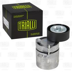 Ролик привод. ремня для а/м BMW 5 F10 (10-)/5 G30 (16-) 2.0d [B47B20] (с натяж. мех.) (CM 5706)