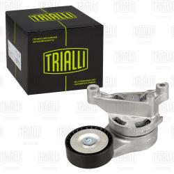 Ролик привод. ремня для а/м VW Passat B6 (05-) 1.9d/2.0d [EA180] (с натяж. мех.) (CM 5107)