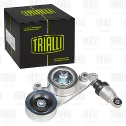 Ролик привод. ремня для а/м Honda Pilot (08-) 3.5i (с натяж. мех.) двойной (CM 5731)