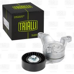 Ролик привод. ремня для а/м Peugeot 307 (00-) 1.8i/2.0i/2.2i [EW7;10;12A] (с натяж. мех.) (CM 5350)