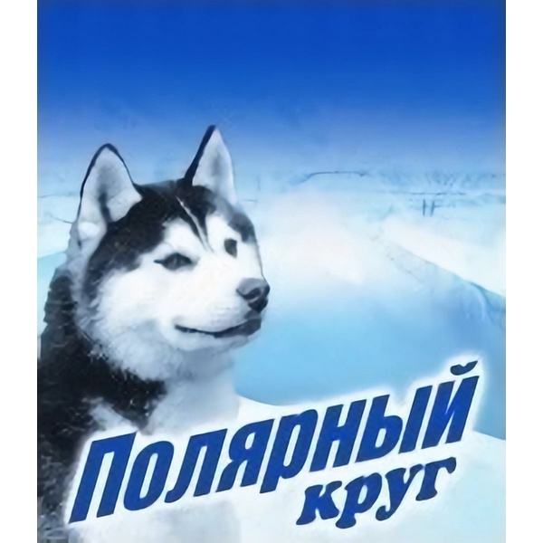 ПОЛЯРНЫЙ КРУГ