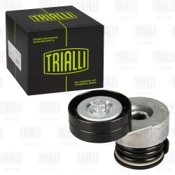 Ролик привод. ремня для а/м Opel Astra H (04-)/Zafira B (05-) 1.7d (с натяж. мех.) (CM 5344)