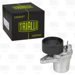 Ролик привод. ремня для а/м Nissan X-Trail T32 (14-)/Qashqai II (13-) 1.6dCi (с натяж. мех.) (CM 5896)