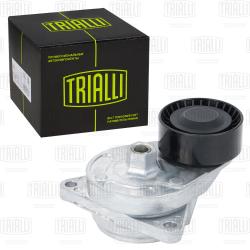 Ролик привод. ремня для а/м Land Rover Range Rover III (02-) 4.4d (с натяж.мех.) (CM 5886)