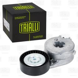 Ролик привод. ремня для а/м Audi Q5 (08-)/A4 (07-) 1.8TFSi/2.0TFSi (с натяж. мех.) (CM 5150)