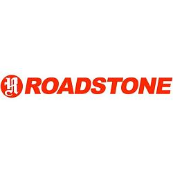 Автошина R18 245/45 Roadstone Eurovis Sport 04 100W XL (лето) R14531