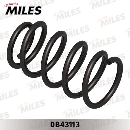 DB43113 Пружина подвески HYUNDAI SANTA FE 4WD 11/05- задняя