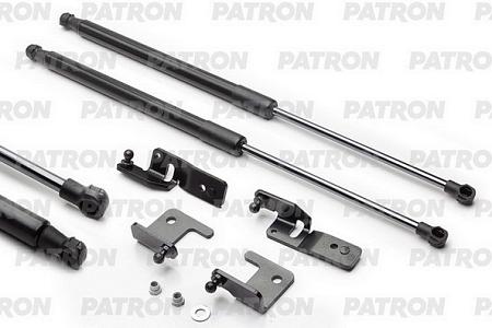 PGS100100 Амортизатор капота