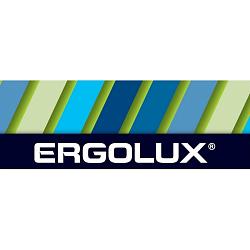 Ergolux..LR20 Alkaline BL-2 (LR20 BL-2, батарейка,1.5В) 11752