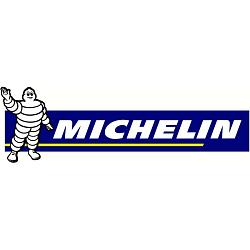 Автошина R16 205/65 Michelin Latitude X-Ice North LXIN2 99T XL (шип) 759966