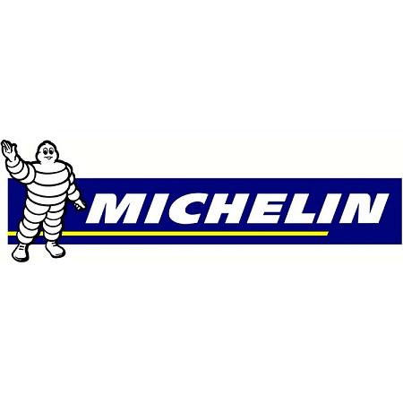 Автошина R20 275/50 Michelin X-Ice North 4 SUV 113T XL (шип) 400573